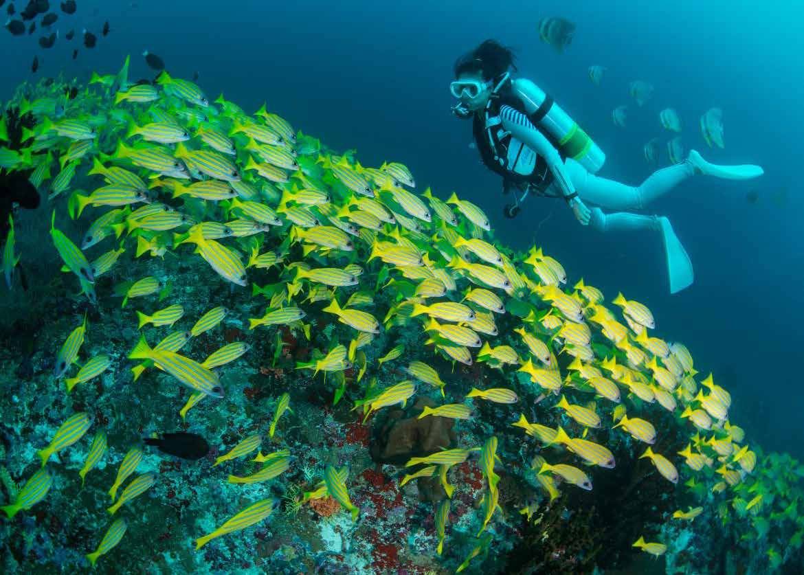Alila Kothaifaru Maldives