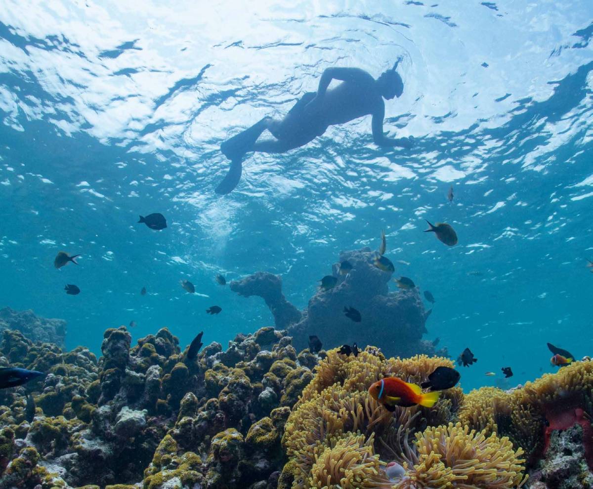 Alila Kothaifaru Maldives