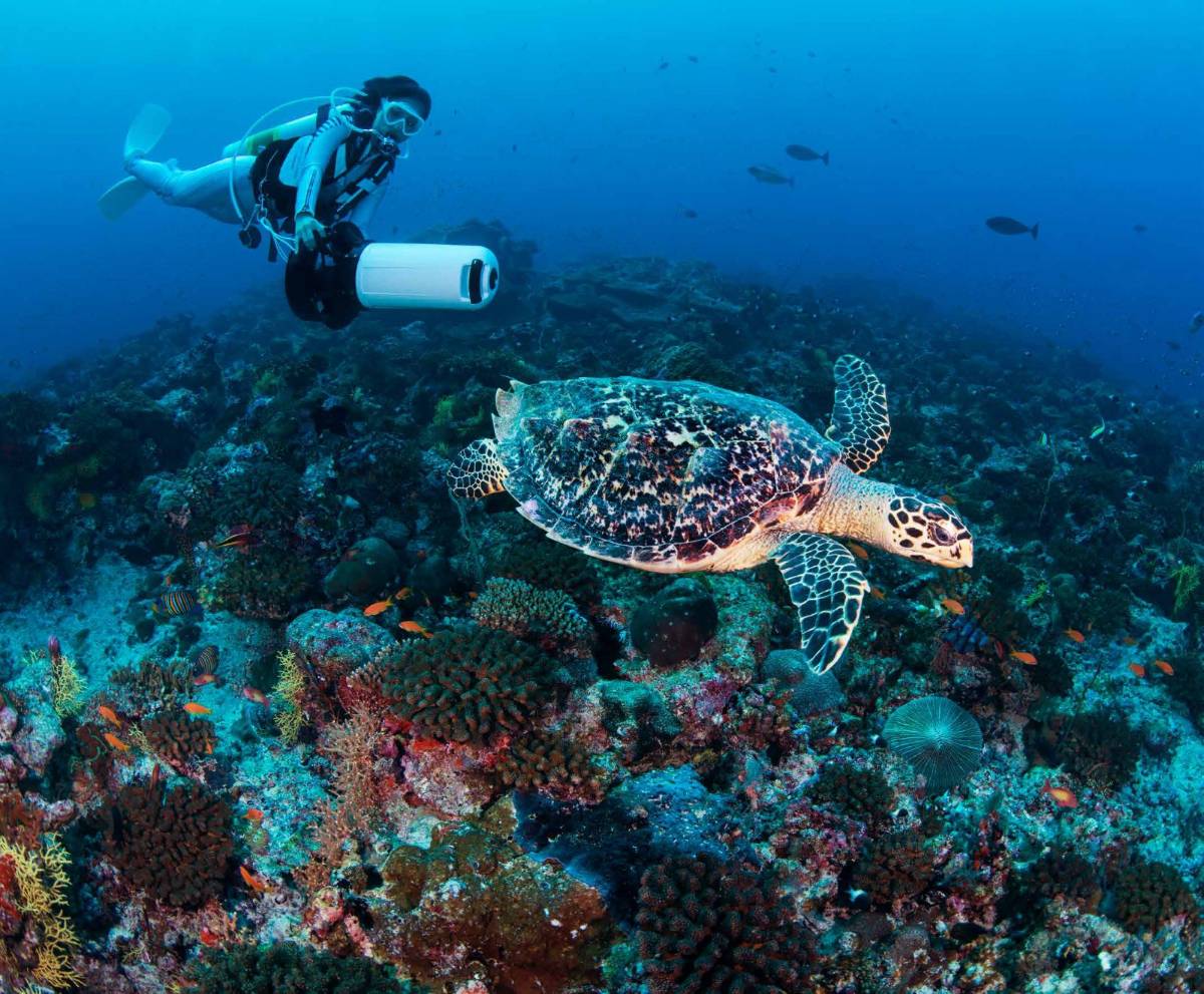 Alila Kothaifaru Maldives