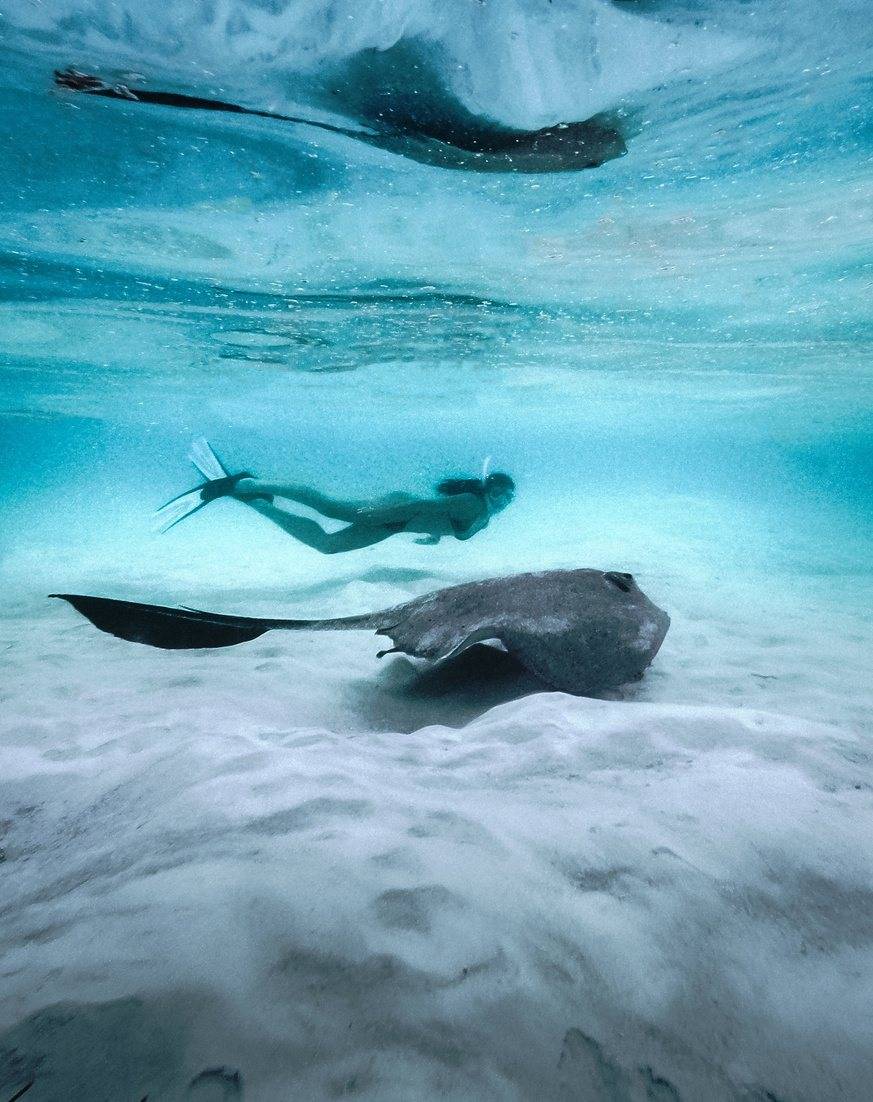 Cocoon Maldives