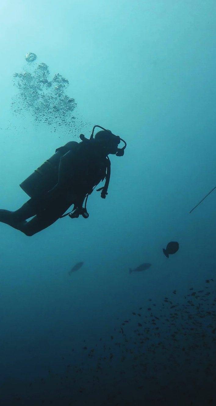 Noku Maldives