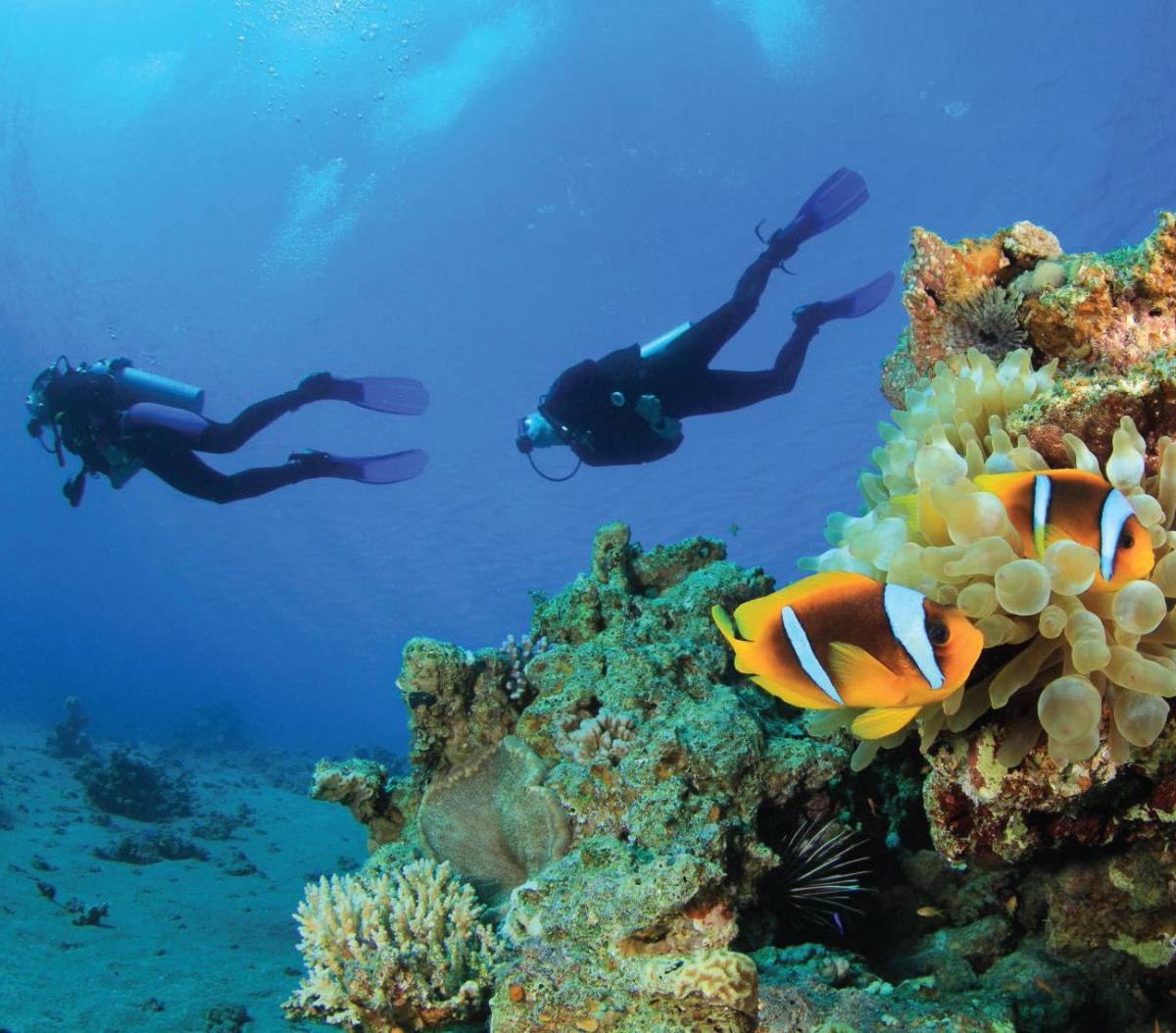 Ozen Reserve Bolifushi